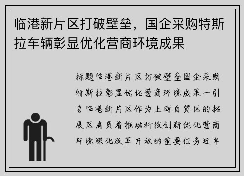 临港新片区打破壁垒，国企采购特斯拉车辆彰显优化营商环境成果